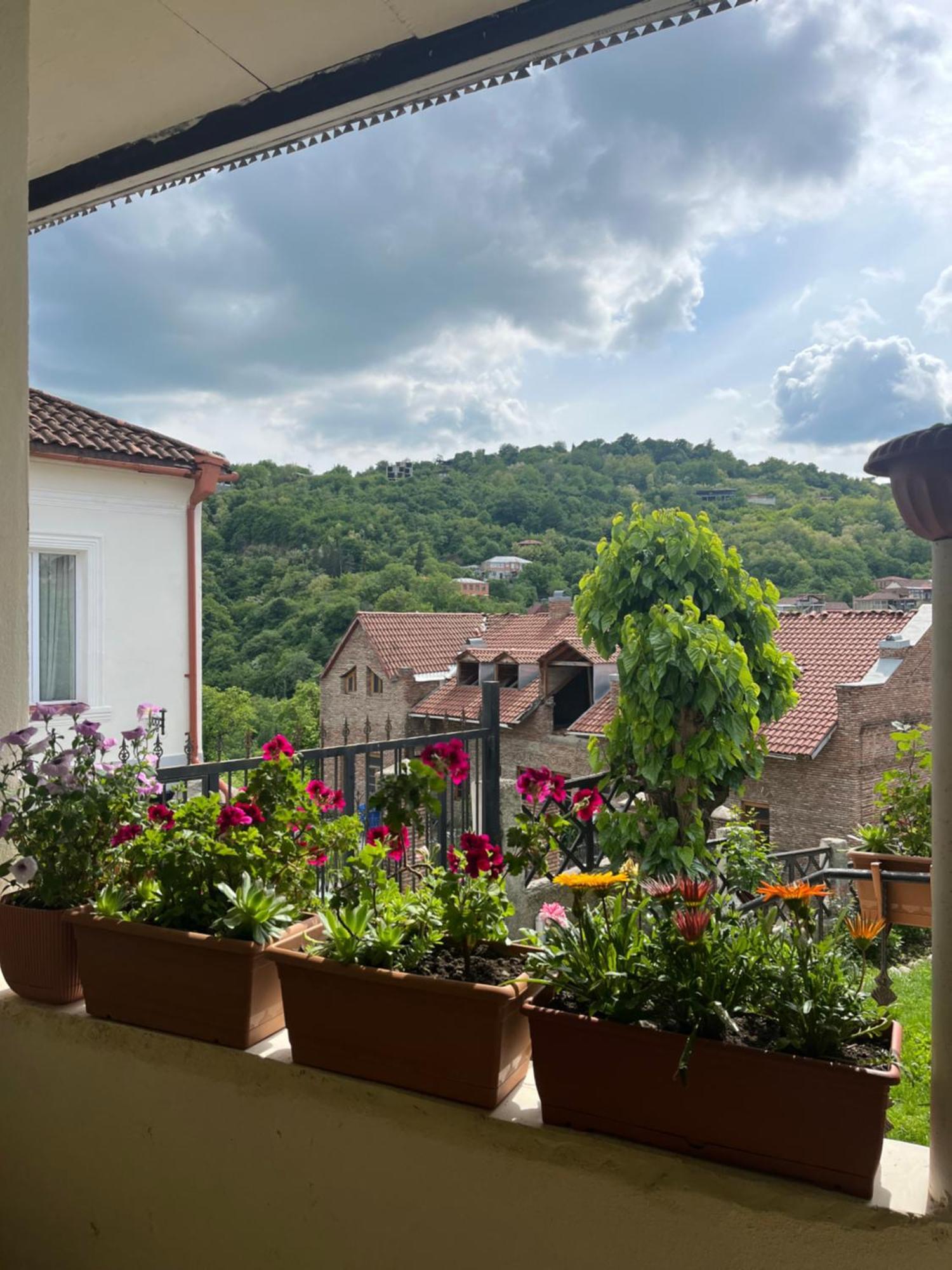 Guest House Anuki Sighnaghi Extérieur photo